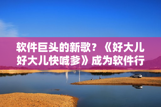 软件巨头的新歌？《好大儿好大儿快喊爹》成为软件行业热门话题
