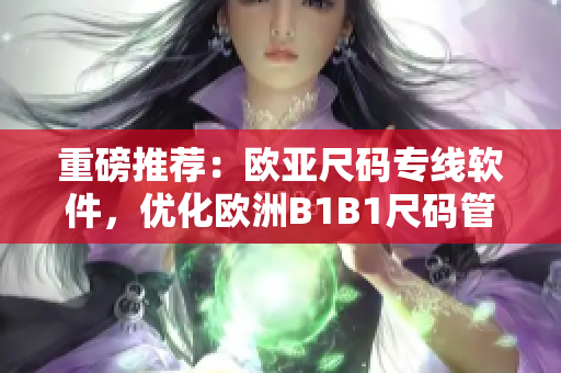 重磅推荐：欧亚尺码专线软件，优化欧洲B1B1尺码管理！
