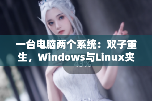 一台电脑两个系统：双子重生，Windows与Linux夹心软件