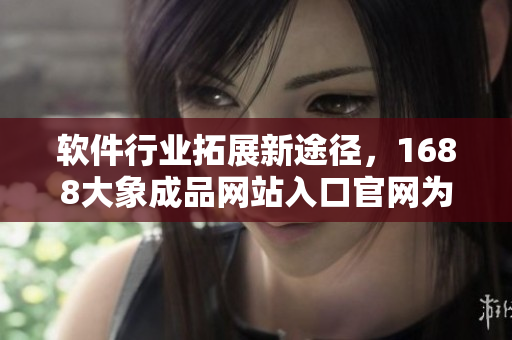 软件行业拓展新途径，1688大象成品网站入口官网为你打造高效商机！