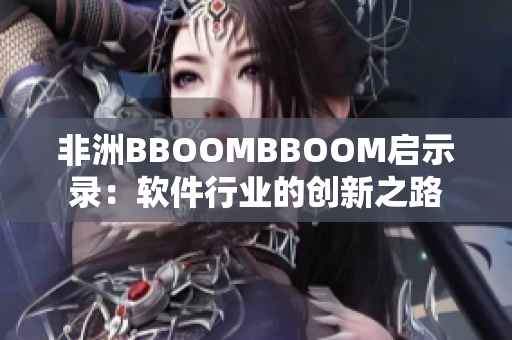 非洲BBOOMBBOOM启示录：软件行业的创新之路