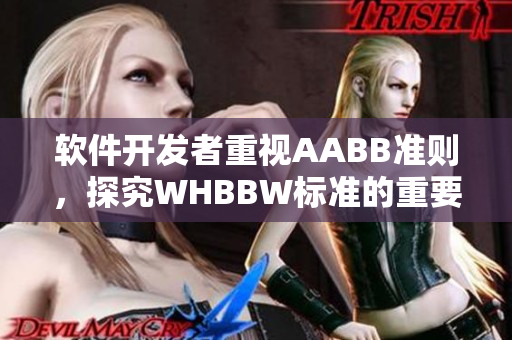软件开发者重视AABB准则，探究WHBBW标准的重要性