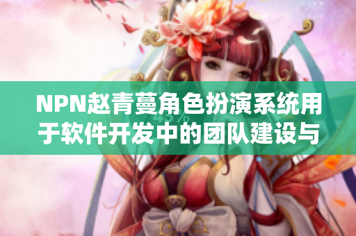 NPN赵青蔓角色扮演系统用于软件开发中的团队建设与沟通