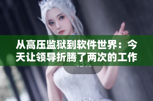 从高压监狱到软件世界：今天让领导折腾了两次的工作体验