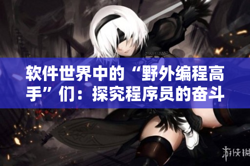 软件世界中的“野外编程高手”们：探究程序员的奋斗精神