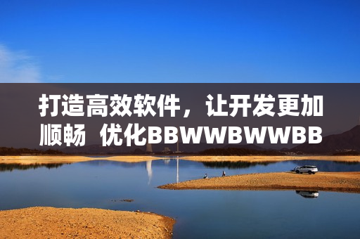 打造高效软件，让开发更加顺畅  优化BBWWBWWBBWW流程