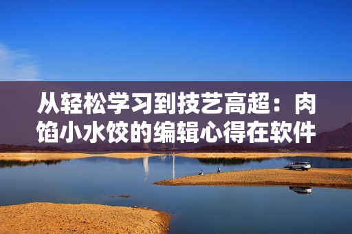 从轻松学习到技艺高超：肉馅小水饺的编辑心得在软件领域的应用