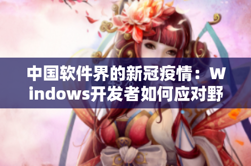 中国软件界的新冠疫情：Windows开发者如何应对野外问题