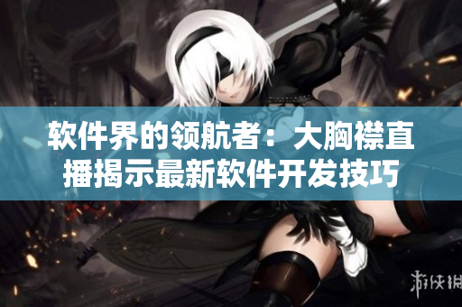 软件界的领航者：大胸襟直播揭示最新软件开发技巧