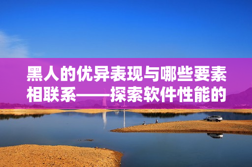 黑人的优异表现与哪些要素相联系——探索软件性能的背后故事