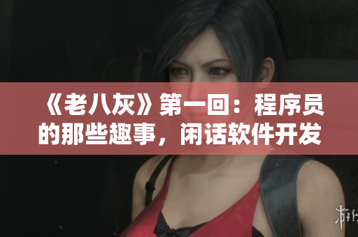 《老八灰》第一回：程序员的那些趣事，闲话软件开发的奇遇，从此流传传颂！