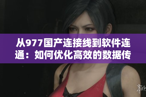 从977国产连接线到软件连通：如何优化高效的数据传输方案
