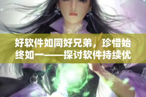 好软件如同好兄弟，珍惜始终如一——探讨软件持续优化的重要性