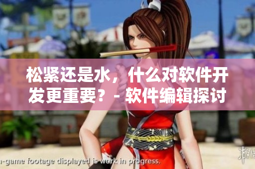 松紧还是水，什么对软件开发更重要？- 软件编辑探讨