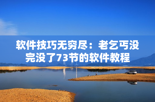 软件技巧无穷尽：老乞丐没完没了73节的软件教程