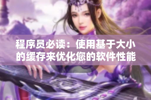 程序员必读：使用基于大小的缓存来优化您的软件性能