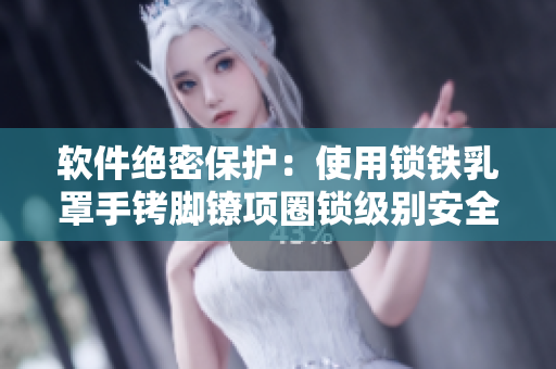 软件绝密保护：使用锁铁乳罩手铐脚镣项圈锁级别安全加密