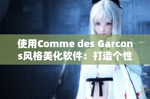 使用Comme des Garcons风格美化软件：打造个性化的计算机界面