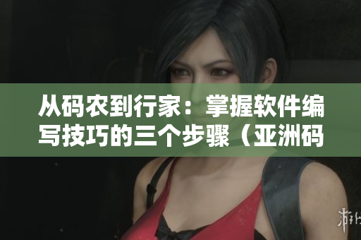 从码农到行家：掌握软件编写技巧的三个步骤（亚洲码、欧洲码）