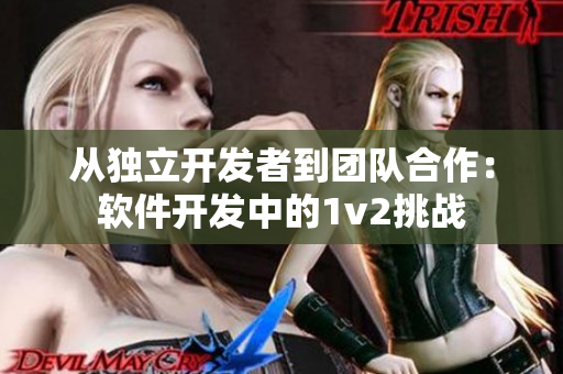 从独立开发者到团队合作：软件开发中的1v2挑战