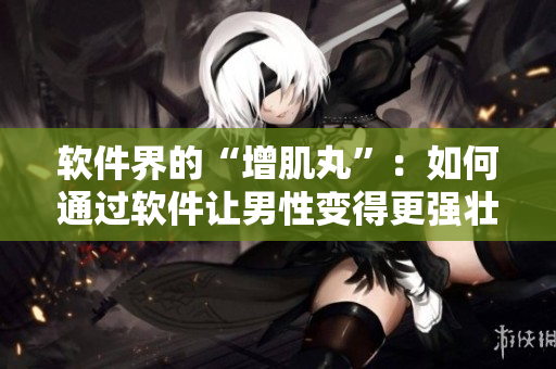 软件界的“增肌丸”：如何通过软件让男性变得更强壮、更粗壮、更长？