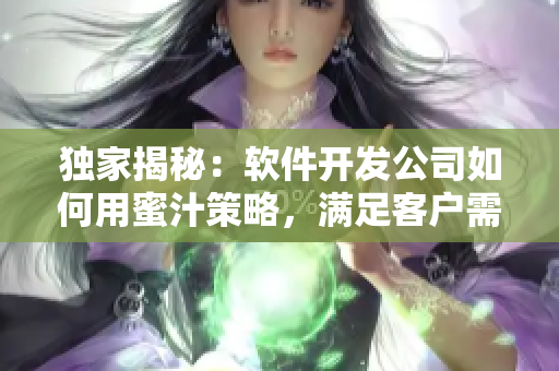 独家揭秘：软件开发公司如何用蜜汁策略，满足客户需求