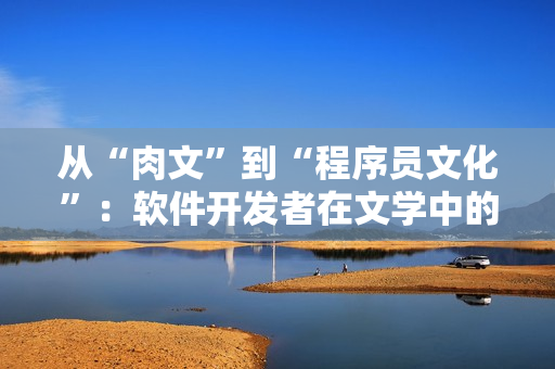 从“肉文”到“程序员文化”：软件开发者在文学中的形象呈现