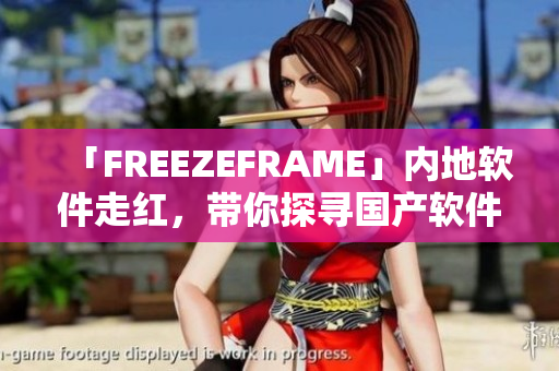 「FREEZEFRAME」内地软件走红，带你探寻国产软件行业的新机遇