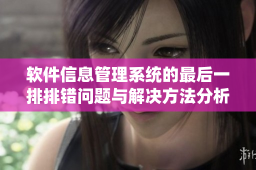 软件信息管理系统的最后一排排错问题与解决方法分析