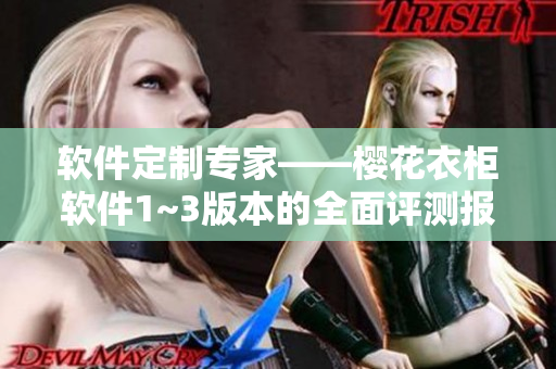 软件定制专家——樱花衣柜软件1~3版本的全面评测报告