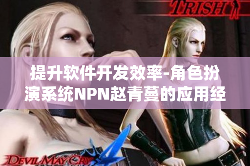提升软件开发效率-角色扮演系统NPN赵青蔓的应用经验分享