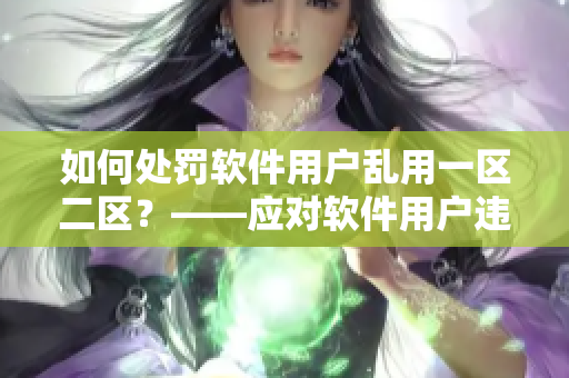 如何处罚软件用户乱用一区二区？——应对软件用户违规行为的最佳实践