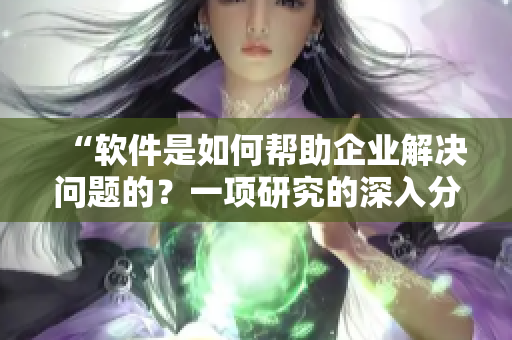 “软件是如何帮助企业解决问题的？一项研究的深入分析”