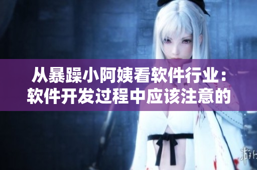 从暴躁小阿姨看软件行业：软件开发过程中应该注意的问题