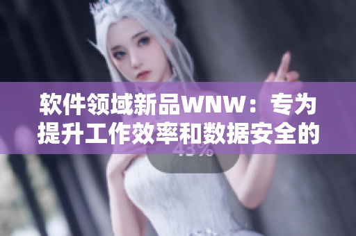 软件领域新品WNW：专为提升工作效率和数据安全的全能软件