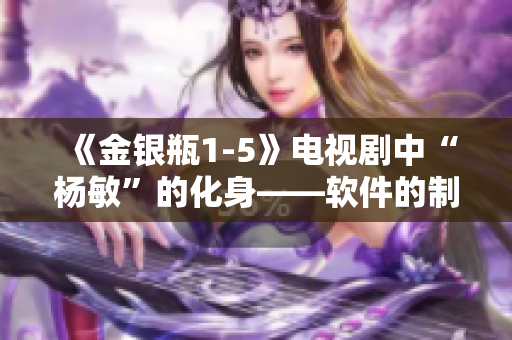 《金银瓶1-5》电视剧中“杨敏”的化身——软件的制作秘密揭秘！