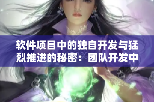 软件项目中的独自开发与猛烈推进的秘密：团队开发中的紧密配合