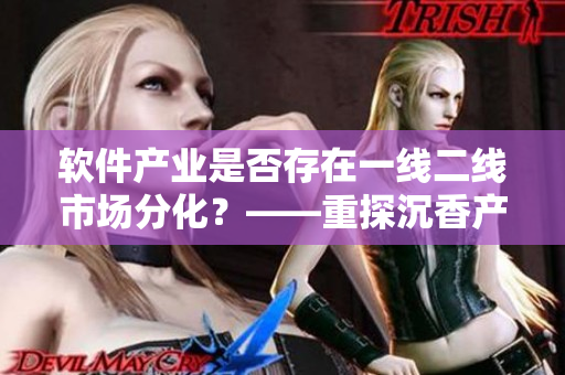 软件产业是否存在一线二线市场分化？——重探沉香产区模式