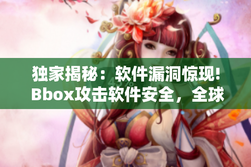 独家揭秘：软件漏洞惊现! Bbox攻击软件安全，全球应对方案即将发布