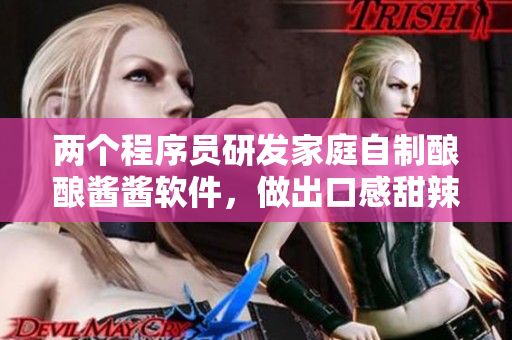 两个程序员研发家庭自制酿酿酱酱软件，做出口感甜辣可口的秘籍