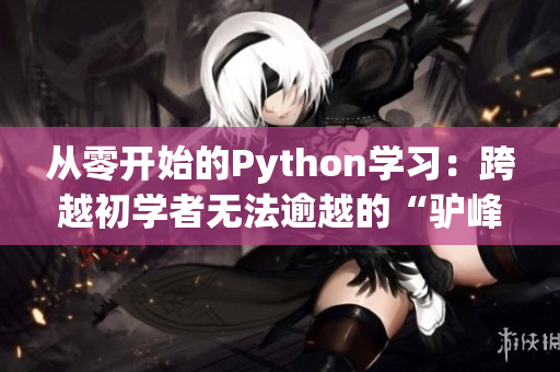 从零开始的Python学习：跨越初学者无法逾越的“驴峰”
