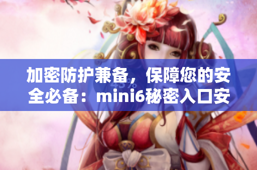 加密防护兼备，保障您的安全必备：mini6秘密入口安全软件