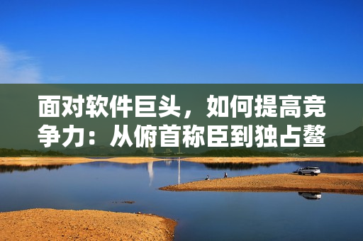 面对软件巨头，如何提高竞争力：从俯首称臣到独占鳌头