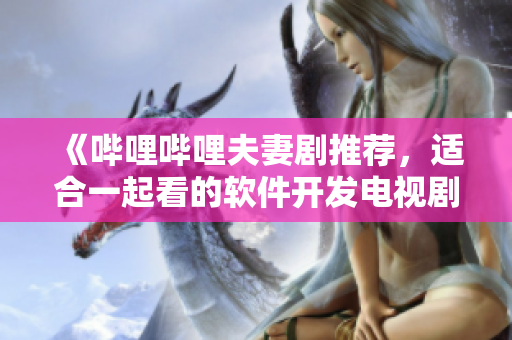 《哔哩哔哩夫妻剧推荐，适合一起看的软件开发电视剧》