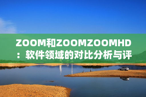 ZOOM和ZOOMZOOMHD：软件领域的对比分析与评估