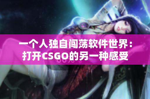 一个人独自闯荡软件世界：打开CSGO的另一种感受