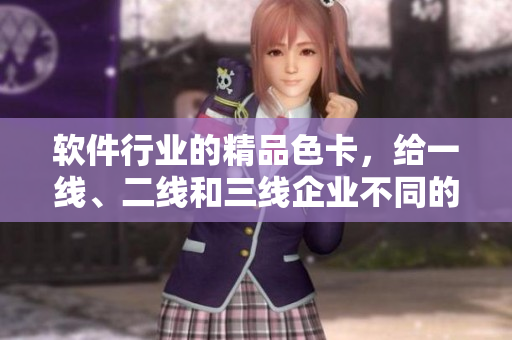 软件行业的精品色卡，给一线、二线和三线企业不同的颜色选择