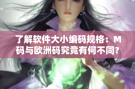 了解软件大小编码规格：M码与欧洲码究竟有何不同？
