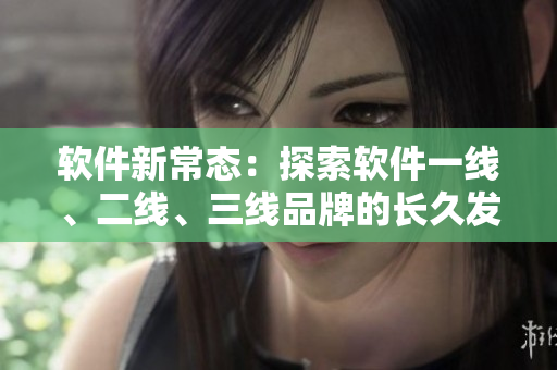 软件新常态：探索软件一线、二线、三线品牌的长久发展之路