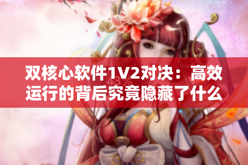 双核心软件1V2对决：高效运行的背后究竟隐藏了什么？